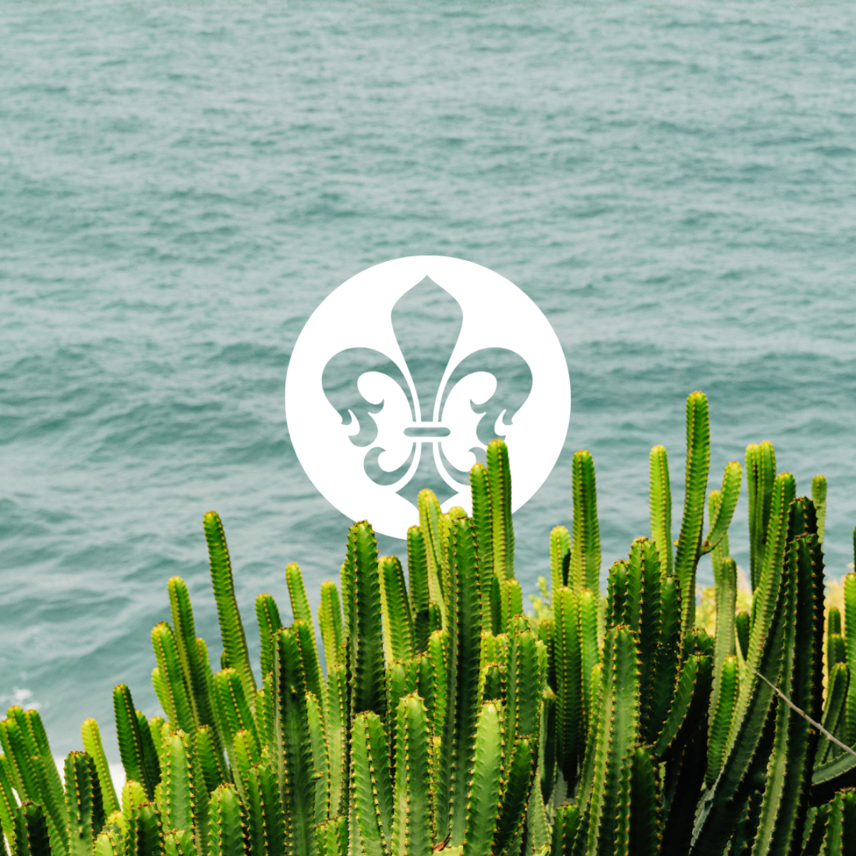 Royal Sun Resort, trabajo de Why Creative Agency