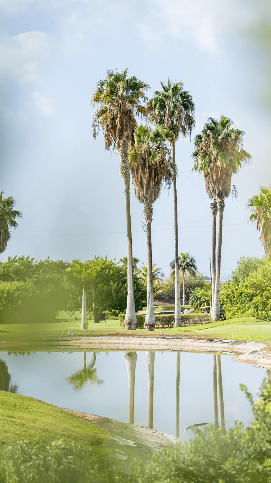 Golf Los Palos- Why Creative Agency