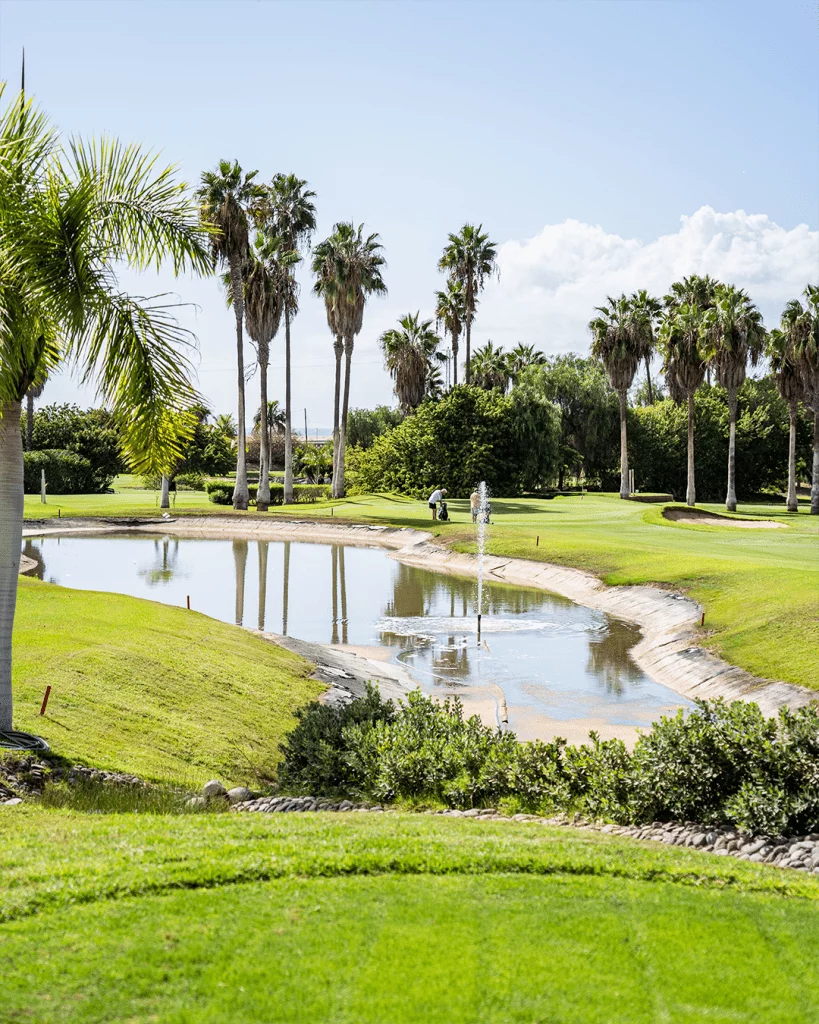 Golf Los Palos- Why Creative Agency